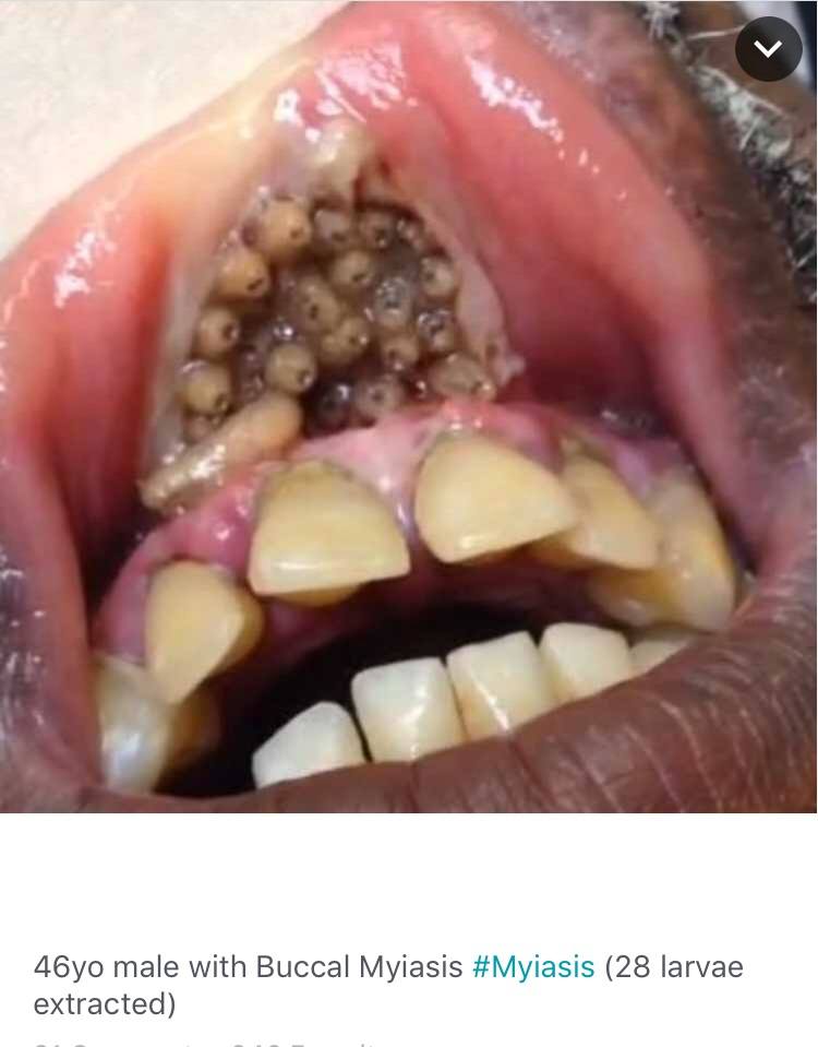 Oral Dentist 50